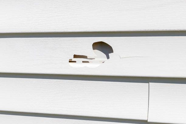 Best Siding Painting and Refinishing  in Bay Hill, FL